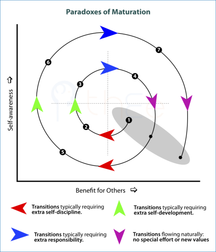 Paradoxes of maturation: Transitions have different effects depending on how they move in regard to the X axis (Benefit for Others) and the Y Axis (Self-awareness).